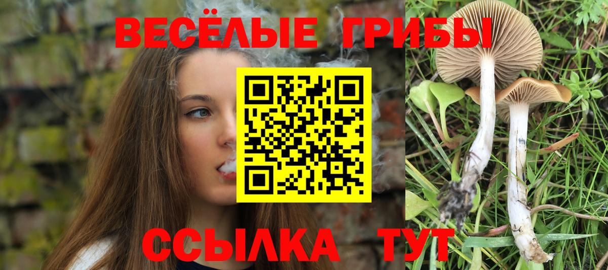 Галлюциногенные грибы Psilocybine cubensis  Вход с VPN  Реж  Галлюциногенные грибы Magic Shrooms 
