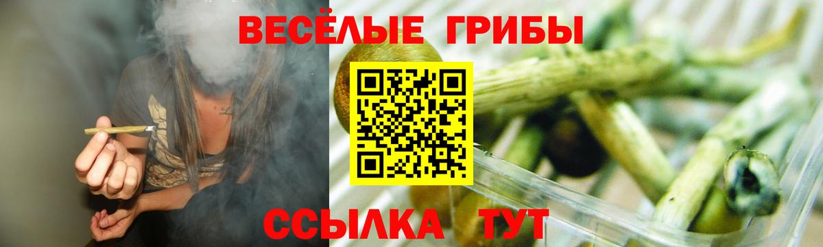 Галлюциногенные грибы Psilocybine cubensis Реж